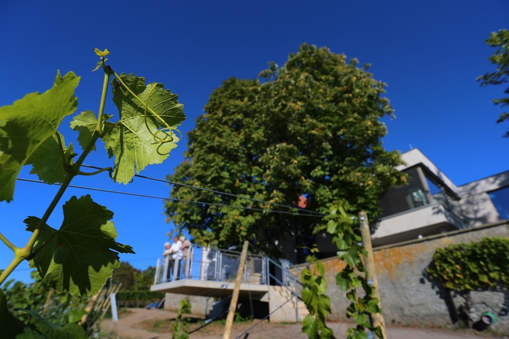 Hotel Vogelsburg Escherndorf Exterior foto