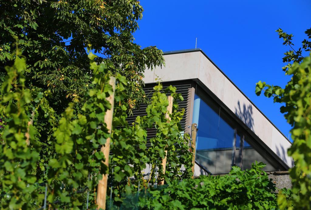 Hotel Vogelsburg Escherndorf Exterior foto